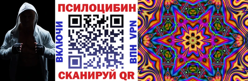 где продают   Изобильный  Псилоцибиновые грибы мицелий 